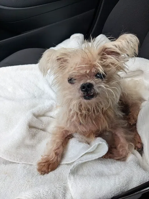 Pro Pet Animal Clinic 10