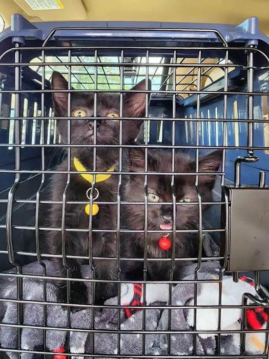 Central Florida Community Pet Clinic 5