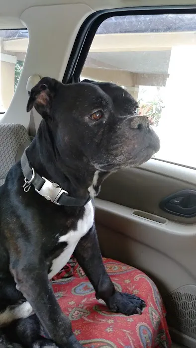 Animal Care Center-Pasco County: Reeves Kenneth DVM 3