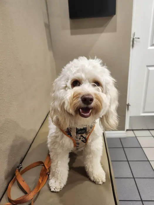 Animal Care Center-Pasco County: Reeves Kenneth DVM 6