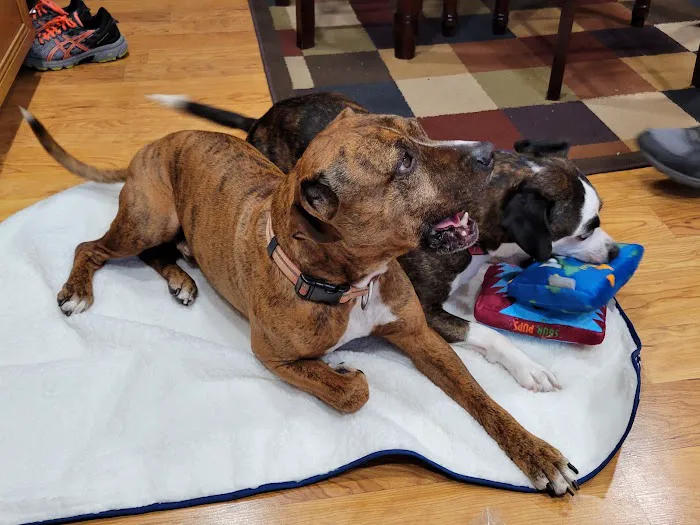 Animal Care Center-Pasco County: Reeves Kenneth DVM 5