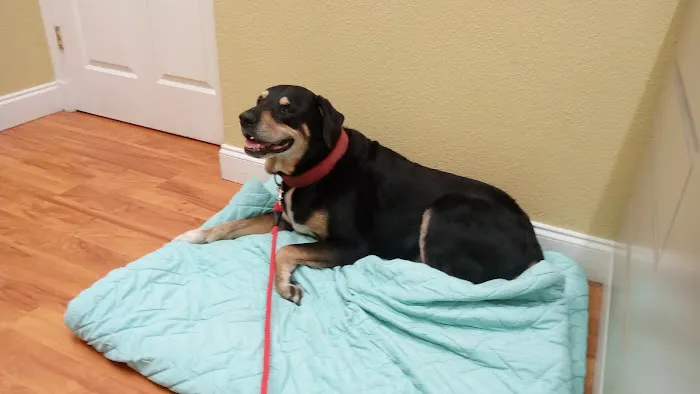 Animal Care Center-Pasco County: Reeves Kenneth DVM 2