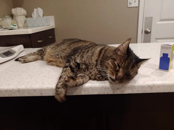 Animal Care Center-Pasco County: Reeves Kenneth DVM 7