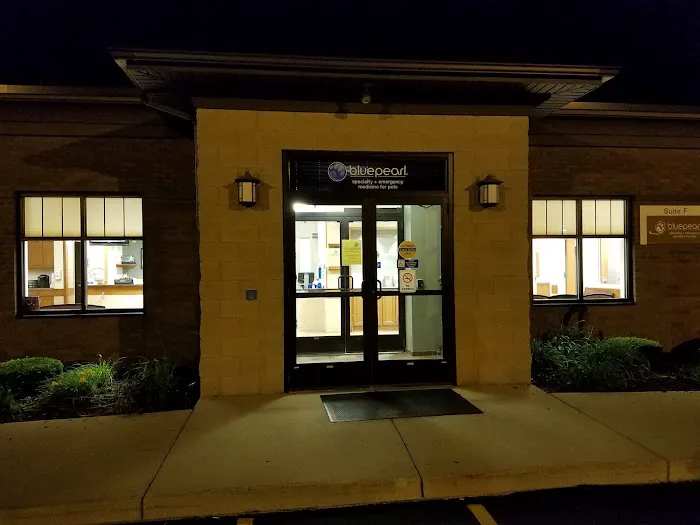 BluePearl Pet Hospital 8