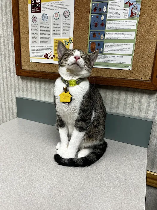 Red Barn Veterinary Clinic 10