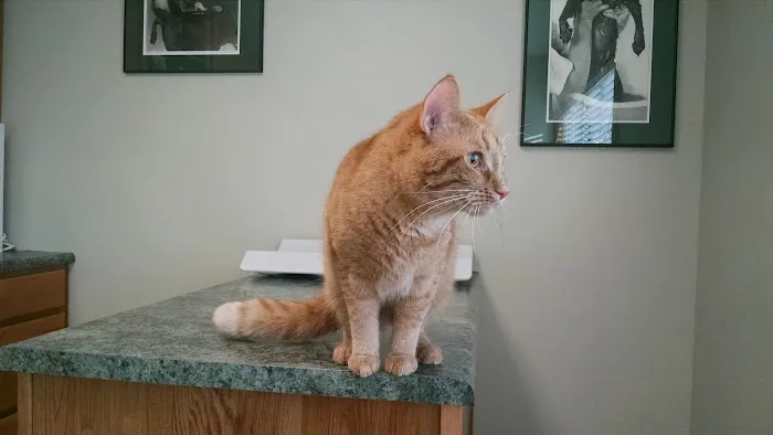 Standale Veterinary Hospital 1