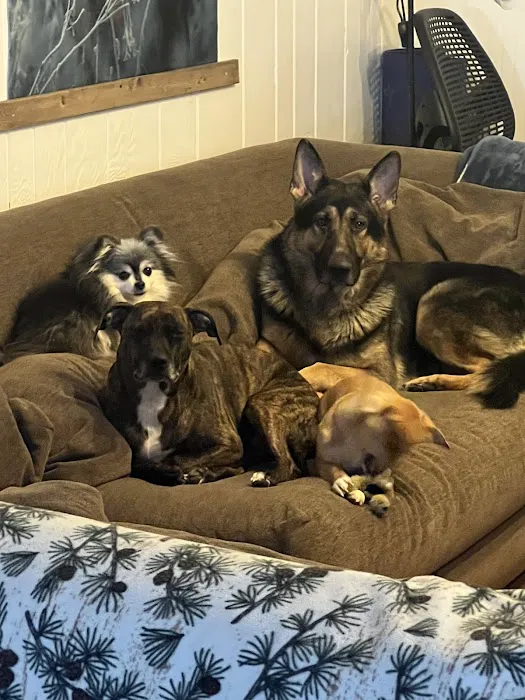 Byron Center Animal Hospital 9