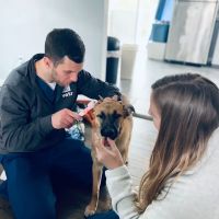 Vetr Health ico