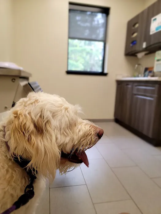 Southkent Veterinary Hospitals 5