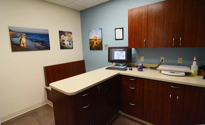 Eastown Veterinary Clinic 8