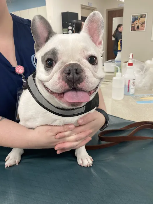 Eastown Veterinary Clinic 5