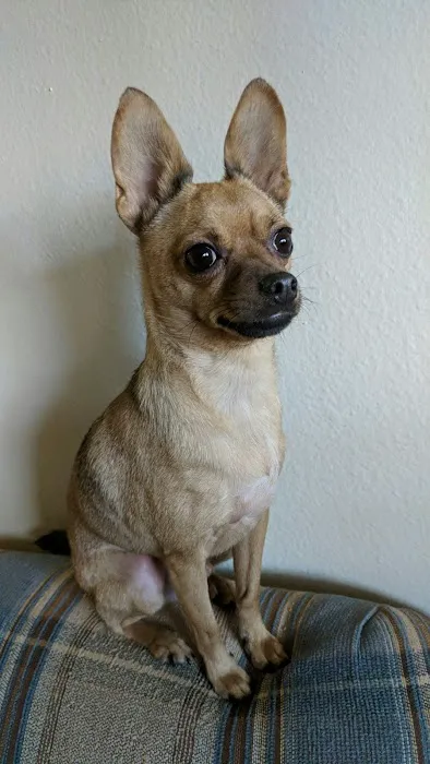 Kentwood Veterinary Clinic 5
