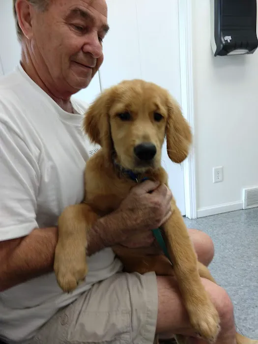Kentwood Veterinary Clinic 8