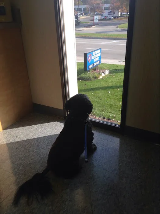 Kentwood Veterinary Clinic 6