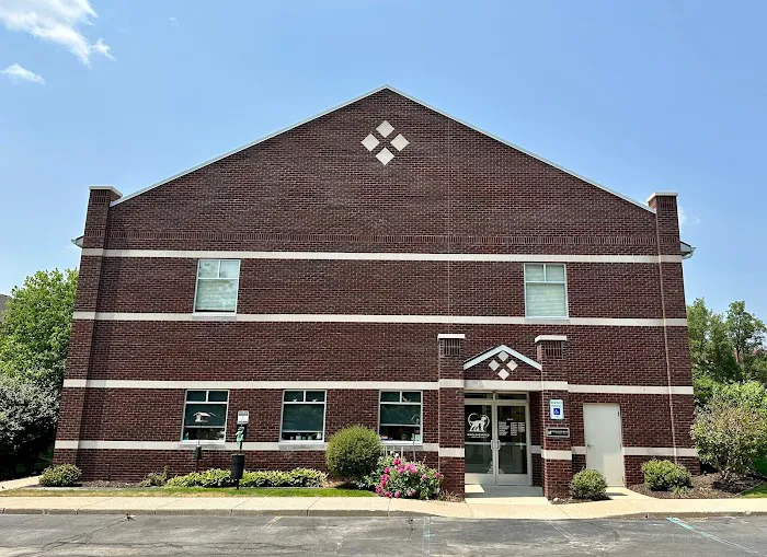 Wholehearted Veterinary Care 8