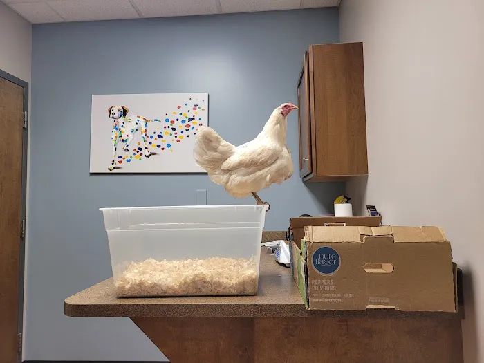 Blue Lake Animal Hospital 7