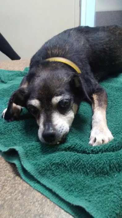 Blue Lake Animal Hospital 8