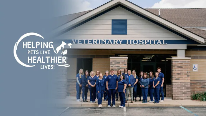 Blue Lake Animal Hospital 10