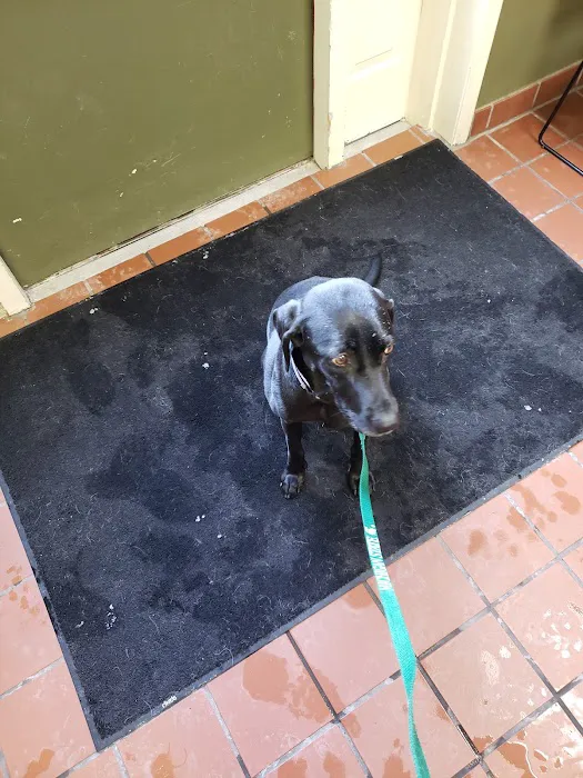 Coit Animal Clinic 6