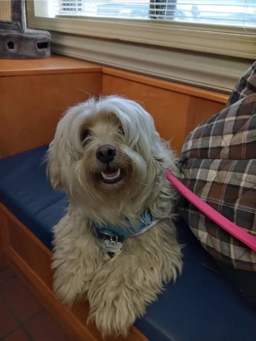 Coit Animal Clinic 4