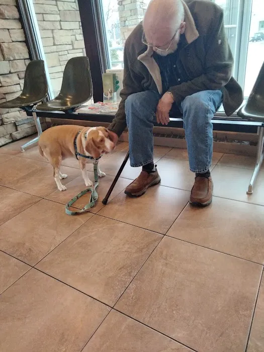 Forest Hills Veterinary Clinic 8