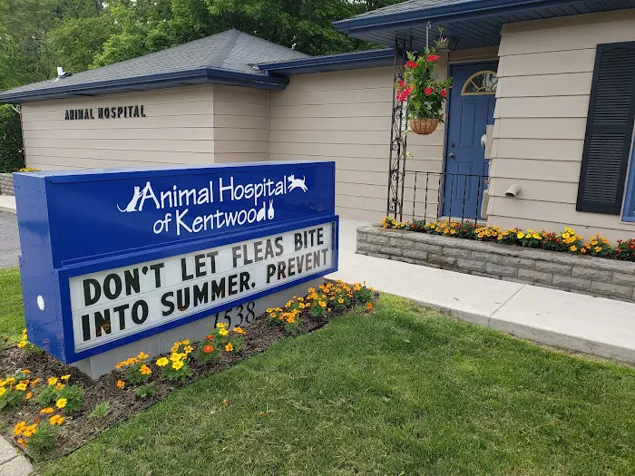 Animal Hospital of Kentwood 10