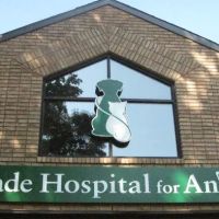 Cascade Hospital for Animals ico