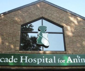 Cascade Hospital for Animals