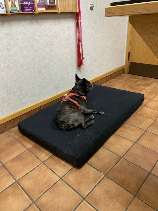 Cascade Hospital for Animals 5