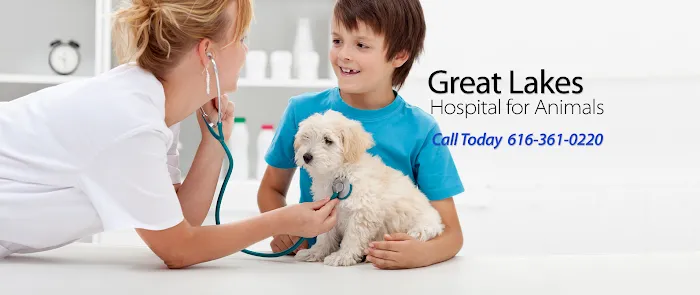 Great Lakes Hospital for Animals 9