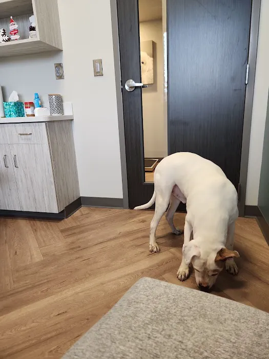 Paris Mountain Animal Hospital 6