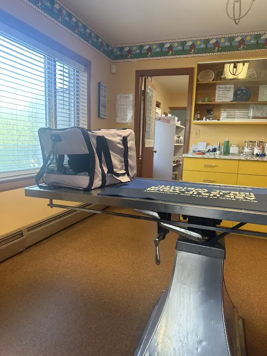 Randallstown Animal Hospital 2