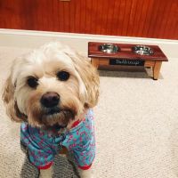 Randallstown Animal Hospital ico