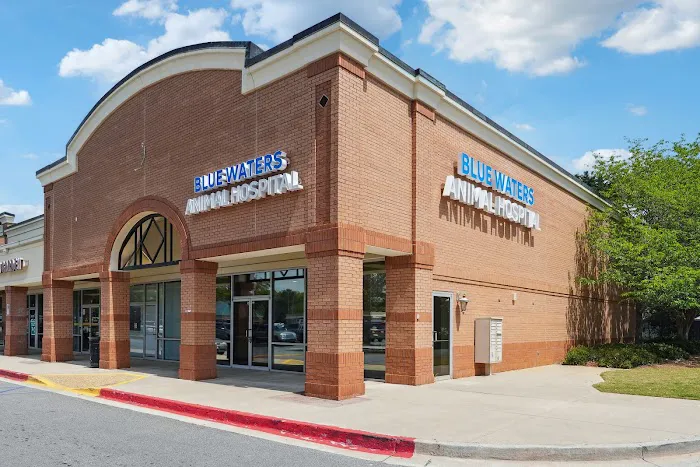 Blue Waters Animal Hospital 4