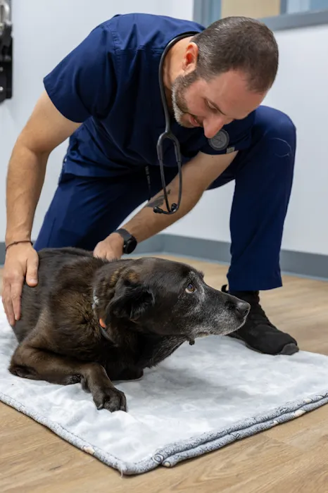 Blue Waters Animal Hospital 8