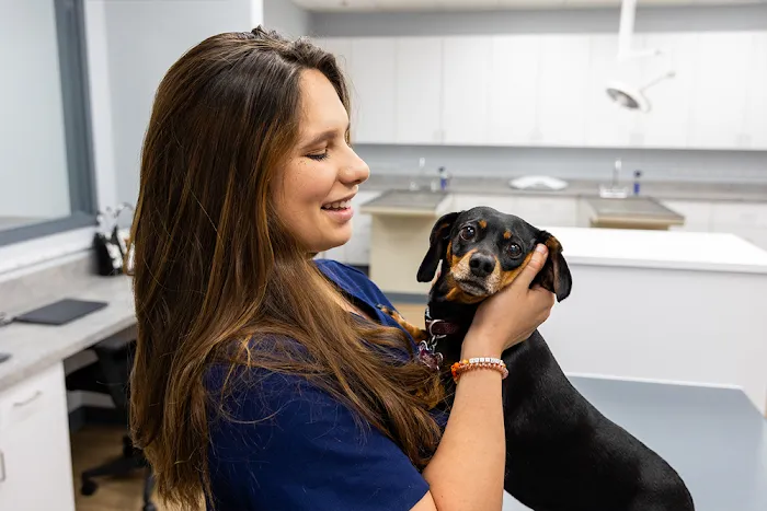Blue Waters Animal Hospital 9