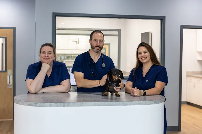 Blue Waters Animal Hospital 10