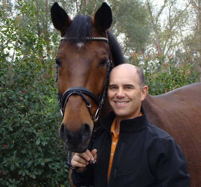 Sporthorse Veterinary Services 2