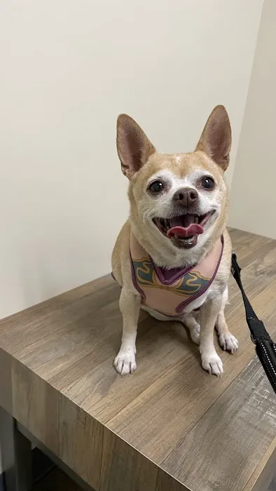 Vetco Total Care Animal Hospital 1