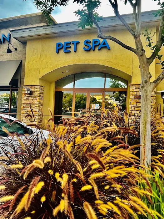 VCA 4 Paws Animal Hospital 2