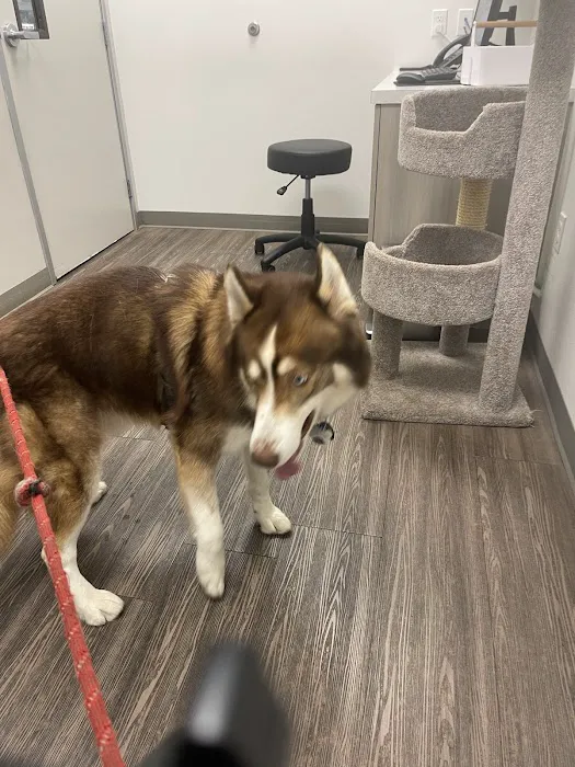 Del Norte Animal Hospital 10