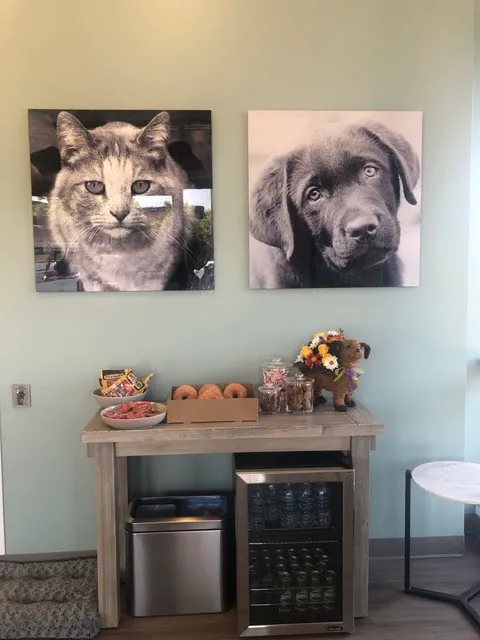 Del Norte Animal Hospital 6
