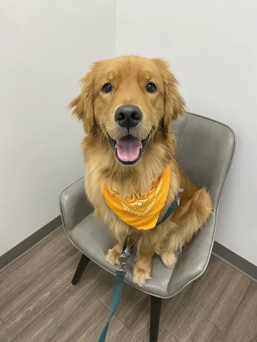 Del Norte Animal Hospital 1