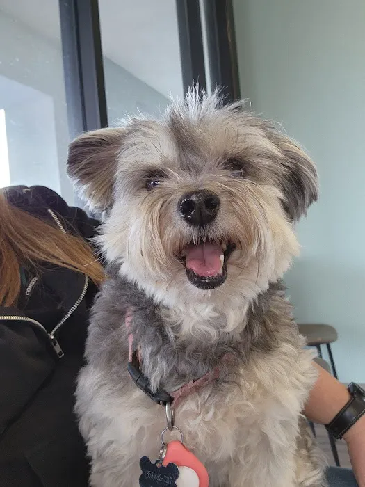 Del Norte Animal Hospital 5