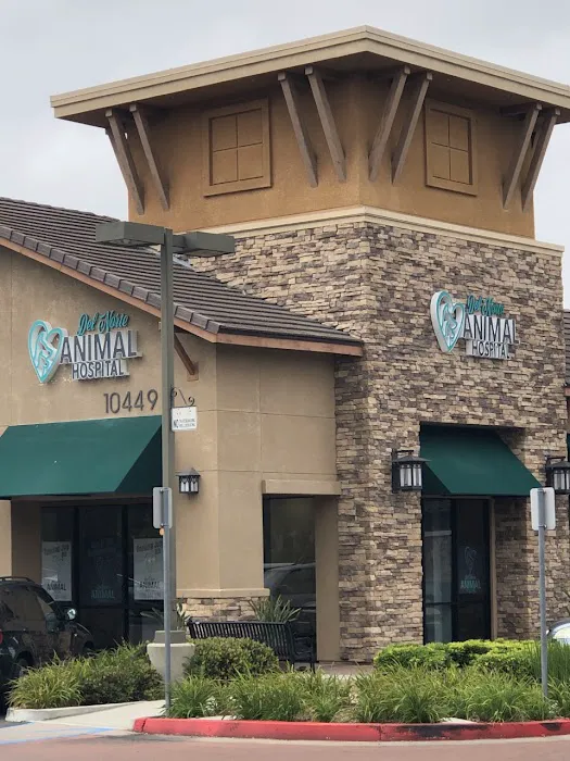 Del Norte Animal Hospital 3