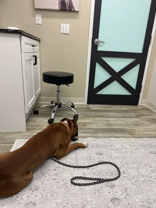 Lebanon Small Animal Clinic 6