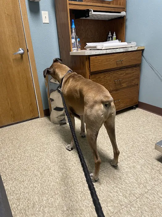 Pondview Veterinary Clinic 6