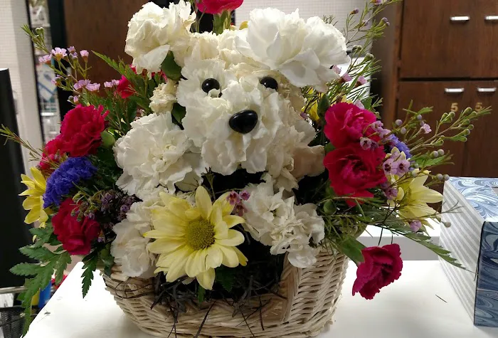 Whitewater Veterinary Hospital 2