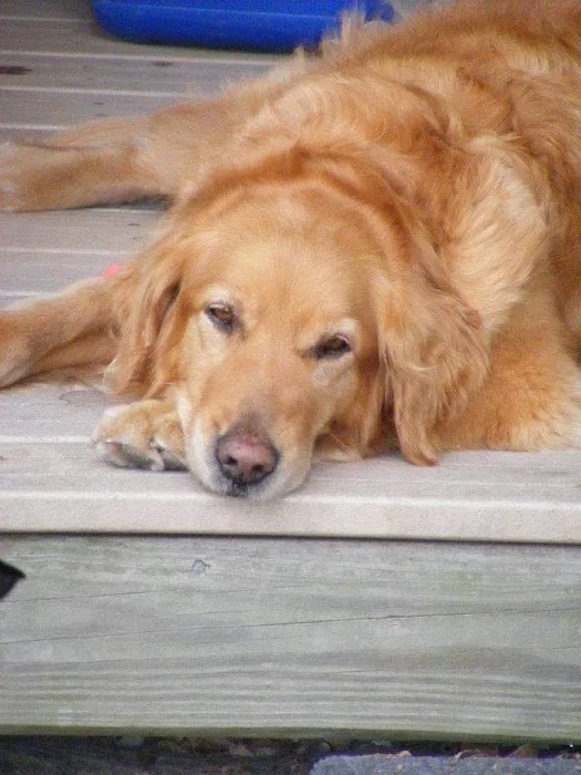 Whitewater Veterinary Hospital 6