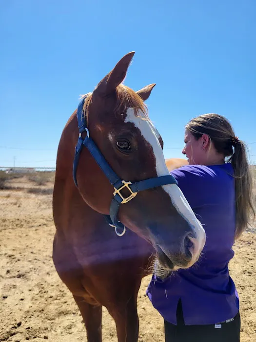 Durango Equine Veterinary Clinic 2